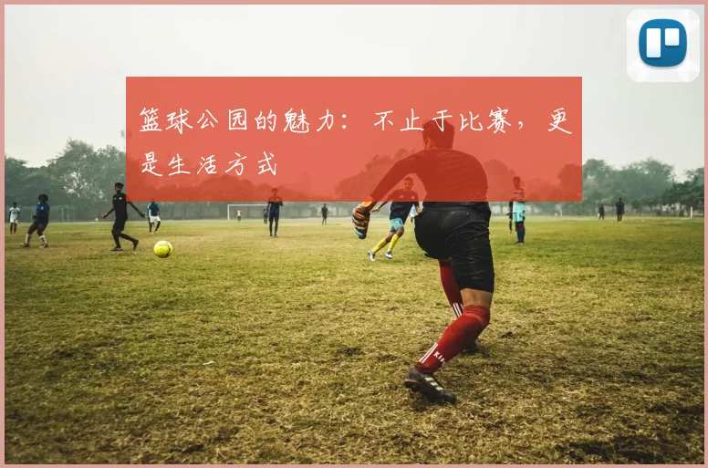 篮球公园的魅力:不止于比赛,更是生活方式