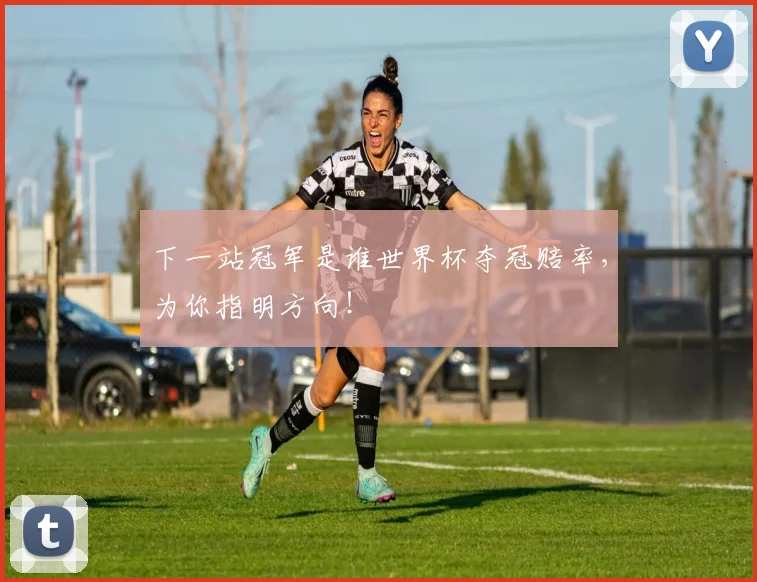 下一站冠军是谁世界杯夺冠赔率，为你指明方向！