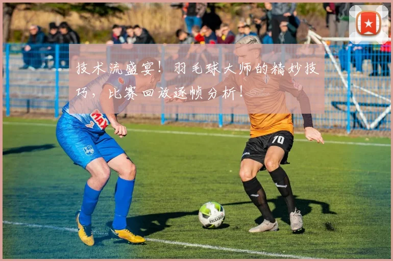 技术流盛宴！羽毛球大师的精妙技巧，比赛回放逐帧分析！