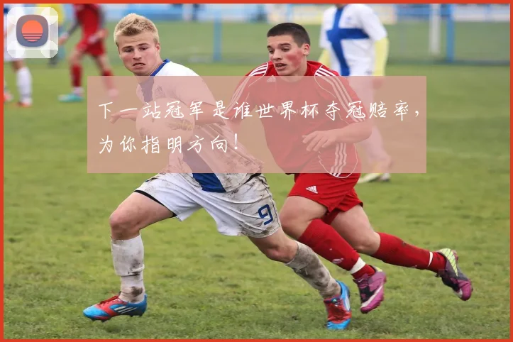 下一站冠军是谁世界杯夺冠赔率,为你指明方向!